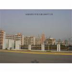 ��������Сѧ��ʯ��