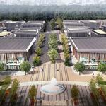 ���������ǻ۳��в�ҵ԰